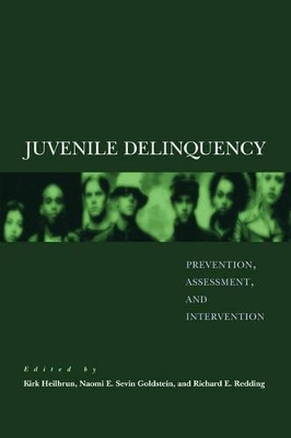 Juvenile Delinquency book