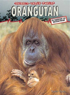 Animals Under Threat: Orangutan Hardback book