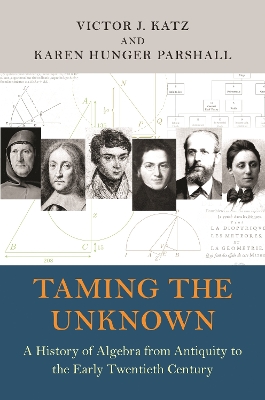 Taming the Unknown: A History of Algebra from Antiquity to the Early Twentieth Century book