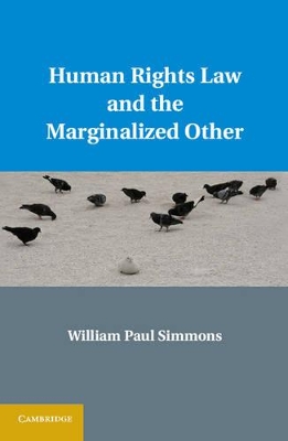 Human Rights Law and the Marginalized Other book