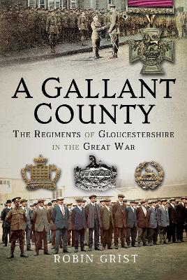 Gallant County book