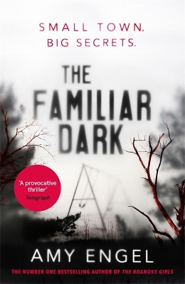 The Familiar Dark: The must-read, utterly gripping thriller you won't be able to put down book