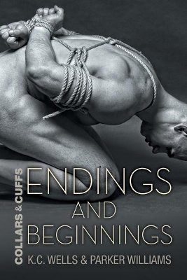 Endings and Beginnings Volume 8 book