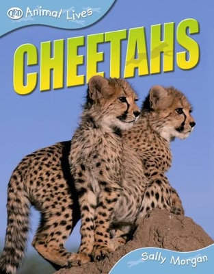 Cheetahs by Sally Morgan