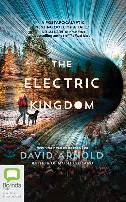The Electric Kingdom by David Arnold