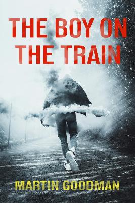 The Boy on the Train book