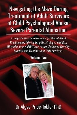 Navigating the Maze During Treatment of Adult Survivors of Child Psychological Abuse: A Comprehensive Resource Guide for Mental Health Practitioners, Offering Insights, Strategies and Risk Mitigation from a PhD Thesis on the Challenges Faced by Practitioners Treating Adult Child Survivors. book