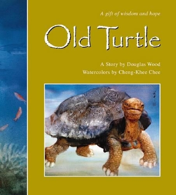 Old Turtle book