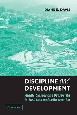 Discipline and Development by Diane E. Davis