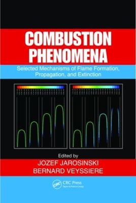 Combustion Phenomena by Jozef Jarosinski