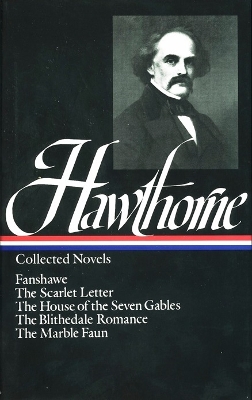 Nathaniel Hawthorne: Collected Novels book