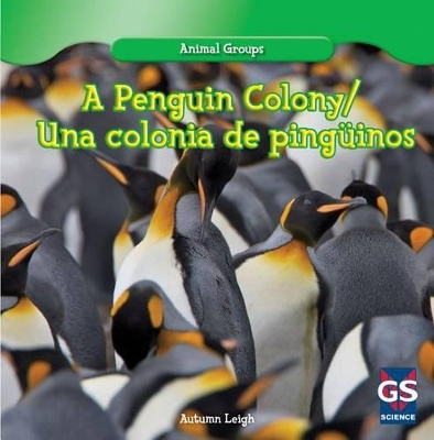 Penguin Colony / Una Colonia de Pinguinos by Autumn Leigh