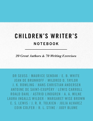 Children'S Writer's Notebook book