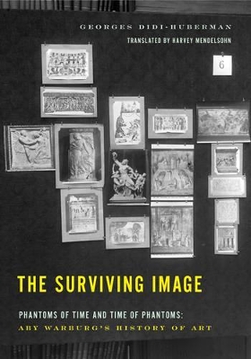 Surviving Image book