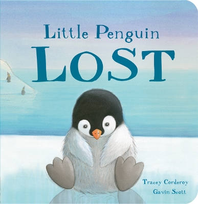 Little Penguin Lost book