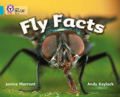 Fly Facts book