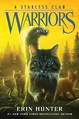 Warriors: A Starless Clan #1: River book
