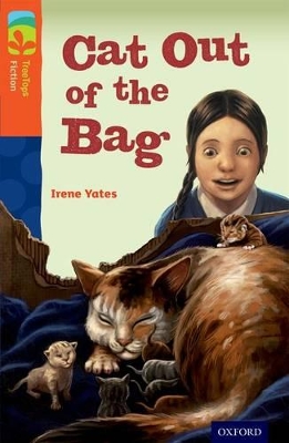 Oxford Reading Tree TreeTops Fiction: Level 13 More Pack B: Cat Out of the Bag book