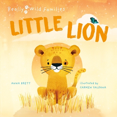 Little Lion: A Day in the Life of a Lion Cub book