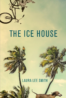 Ice House book