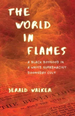 World in Flames book