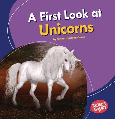 A First Look at Unicorns book