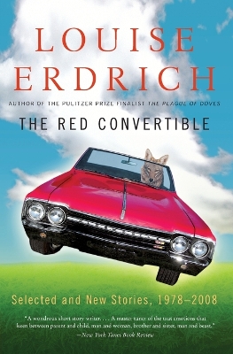 Red Convertible book