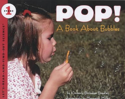 Pop A Book About Bubbles book