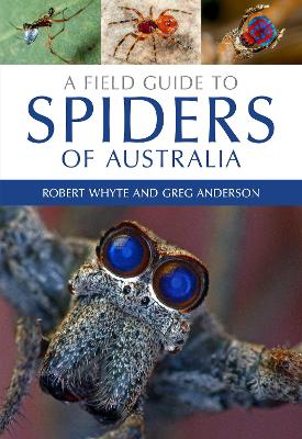 A Field Guide to Spiders of Australia by Robert Whyte
