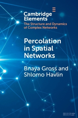 Percolation in Spatial Networks: Spatial Network Models Beyond Nearest Neighbours Structures book