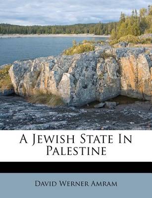 A Jewish State in Palestine book