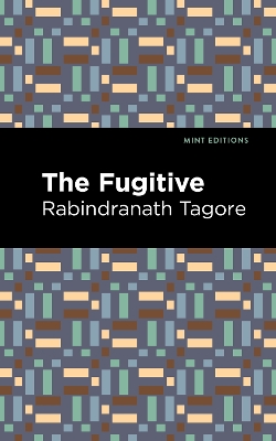 The Fugitive book