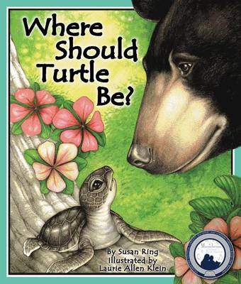 Where Should Turtle Be? book