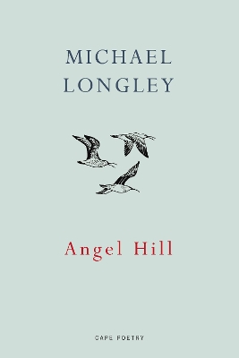 Angel Hill book
