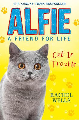 Alfie Cat In Trouble book