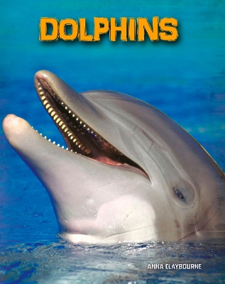 Dolphins book