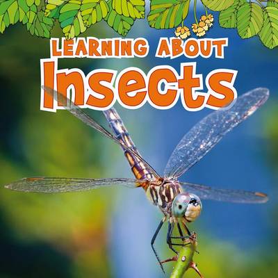 Learning about Insects book