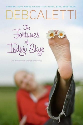 Fortunes of Indigo Skye book