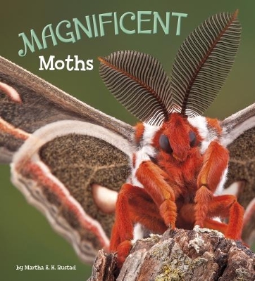Magnificent Moths book
