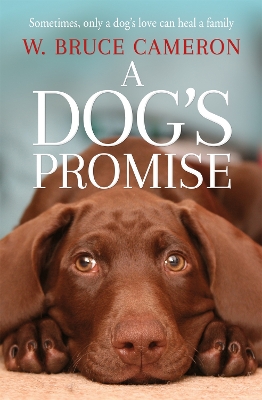 A Dog's Promise book