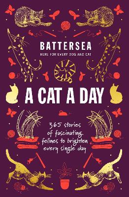 Battersea Dogs and Cats Home - A Cat a Day: 365 stories of fascinating felines to brighten every day book
