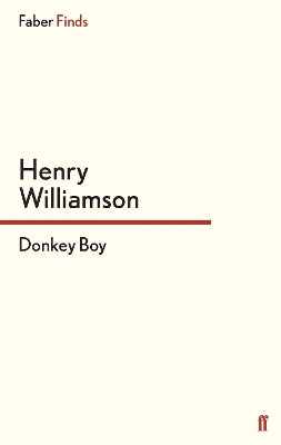 Donkey Boy book