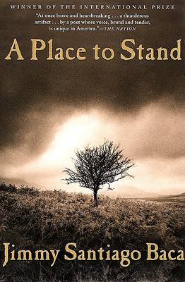 Place to Stand book