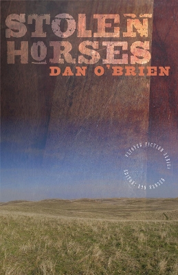 Stolen Horses book