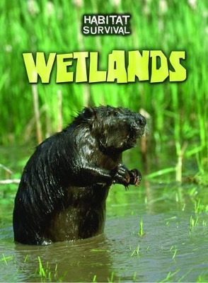 Wetlands by Buffy Silverman