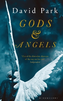 Gods and Angels by David Park