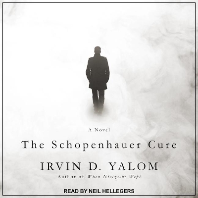 The Schopenhauer Cure Lib/E book