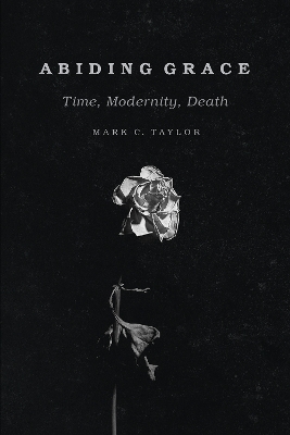 Abiding Grace by Mark C. Taylor