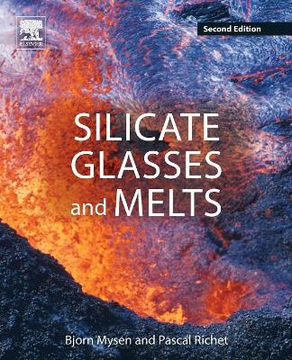 Silicate Glasses and Melts by Bjorn Mysen