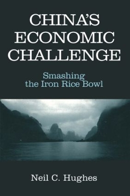 China's Economic Challenge book